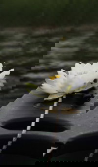 Retreat og meditation p&aring; Glamping